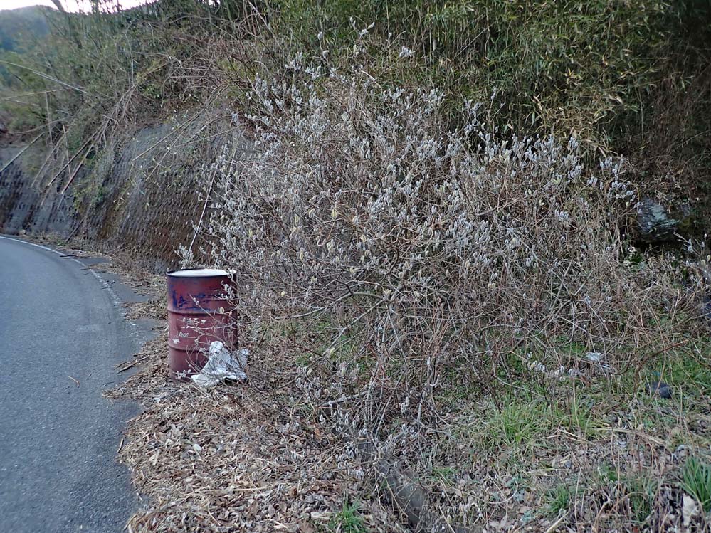 f:id:tonji44:20210211112850j:plain