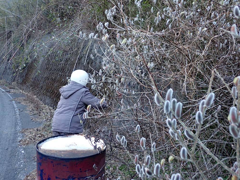 f:id:tonji44:20210211112901j:plain