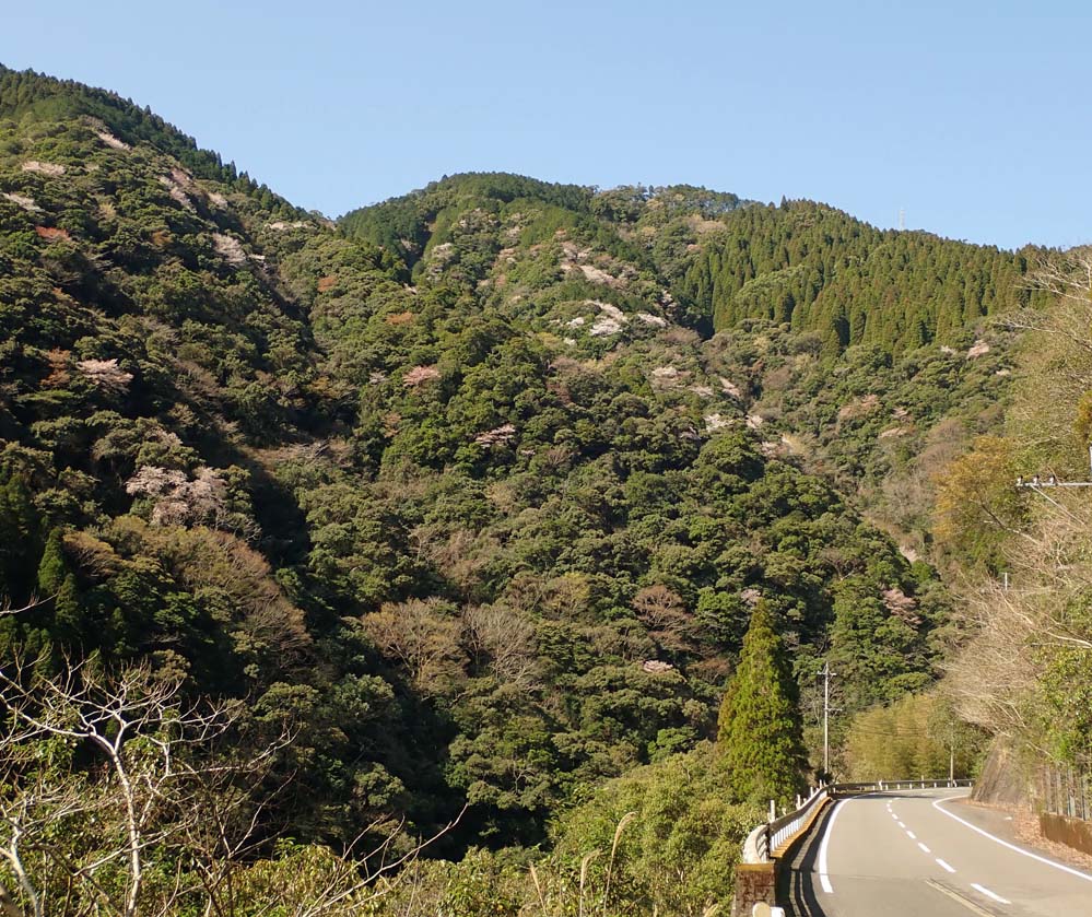 f:id:tonji44:20210318202826j:plain