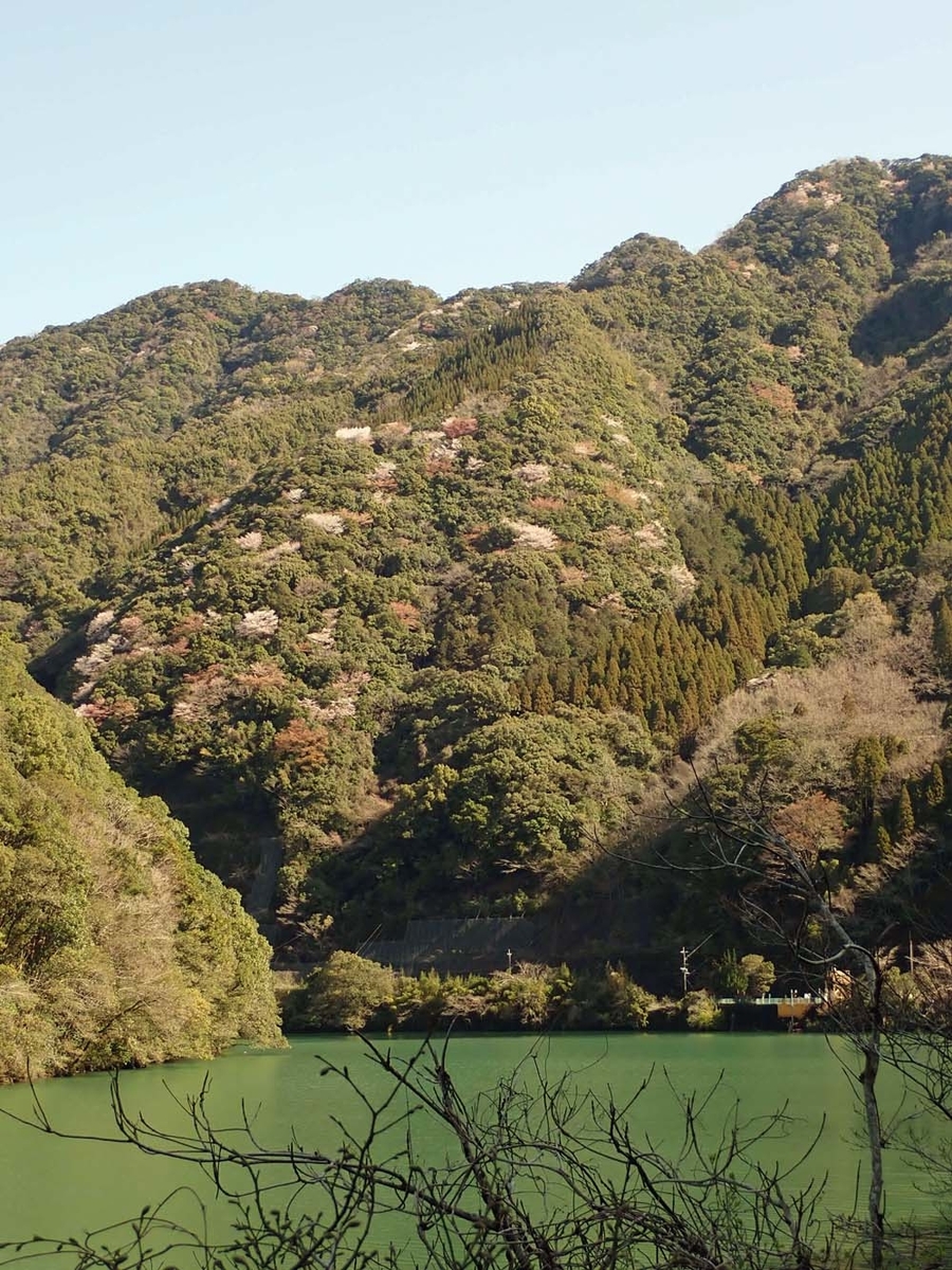 f:id:tonji44:20210318202837j:plain