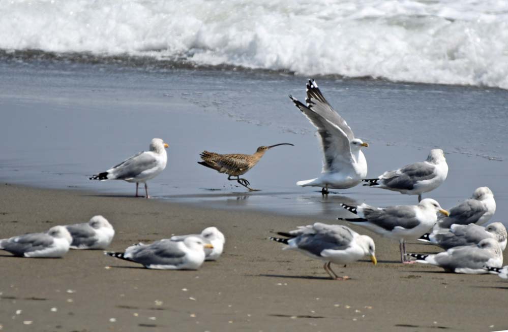 f:id:tonji44:20210322210218j:plain