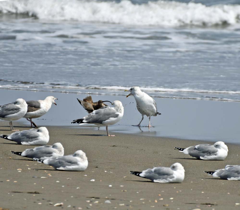 f:id:tonji44:20210322210226j:plain