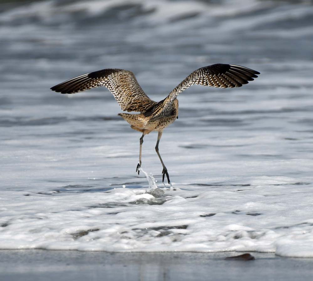 f:id:tonji44:20210322210248j:plain