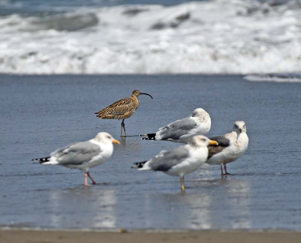 f:id:tonji44:20210322210319j:plain