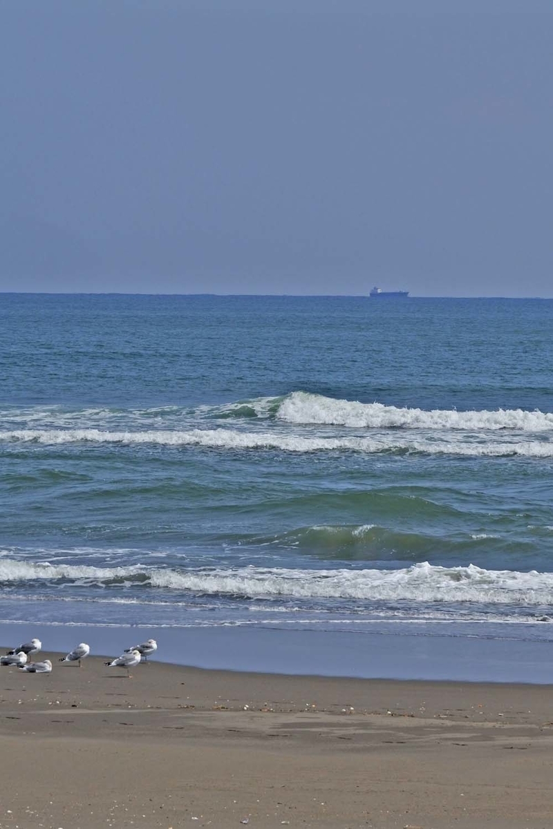 f:id:tonji44:20210403091535j:plain