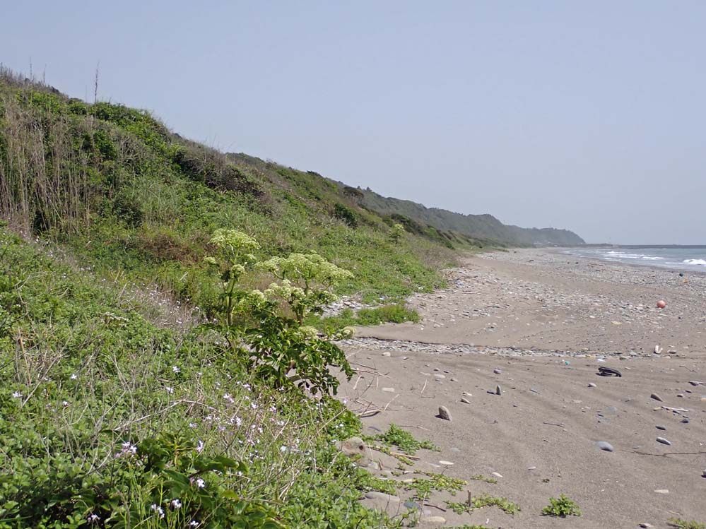 f:id:tonji44:20210510160206j:plain