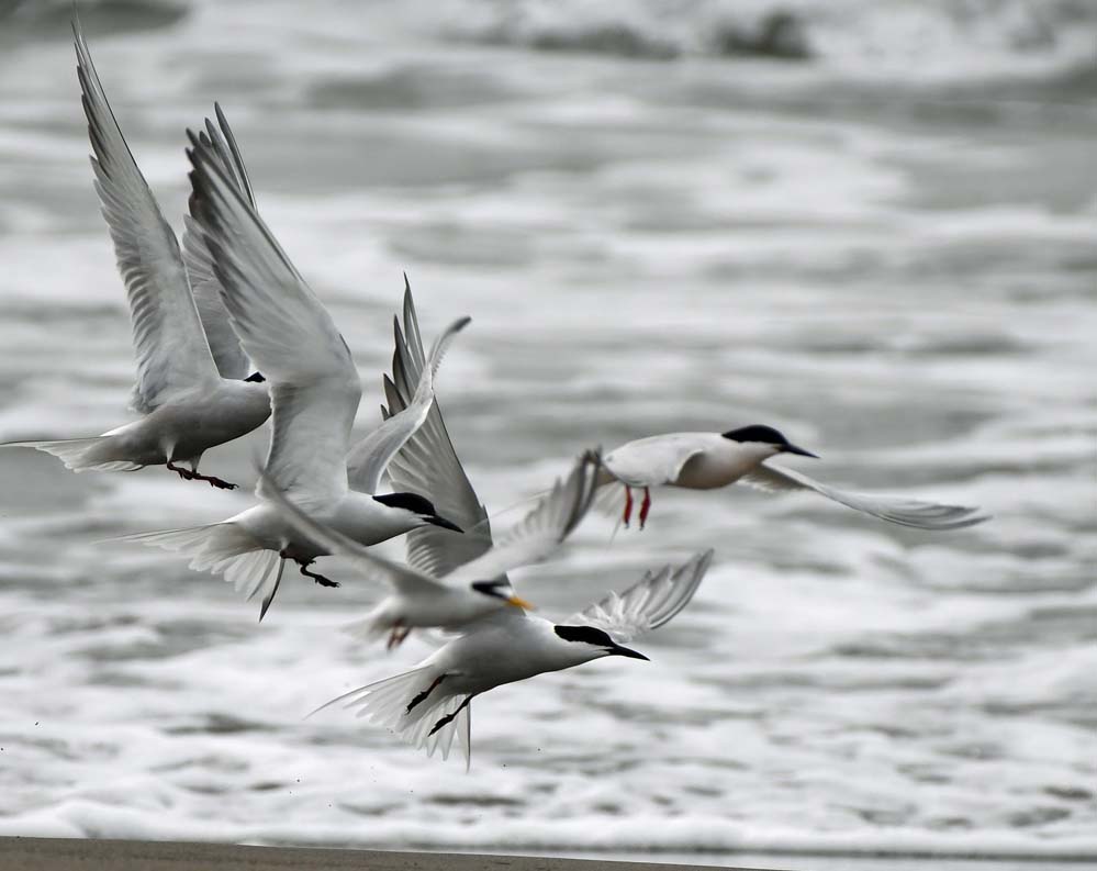 f:id:tonji44:20210531162746j:plain