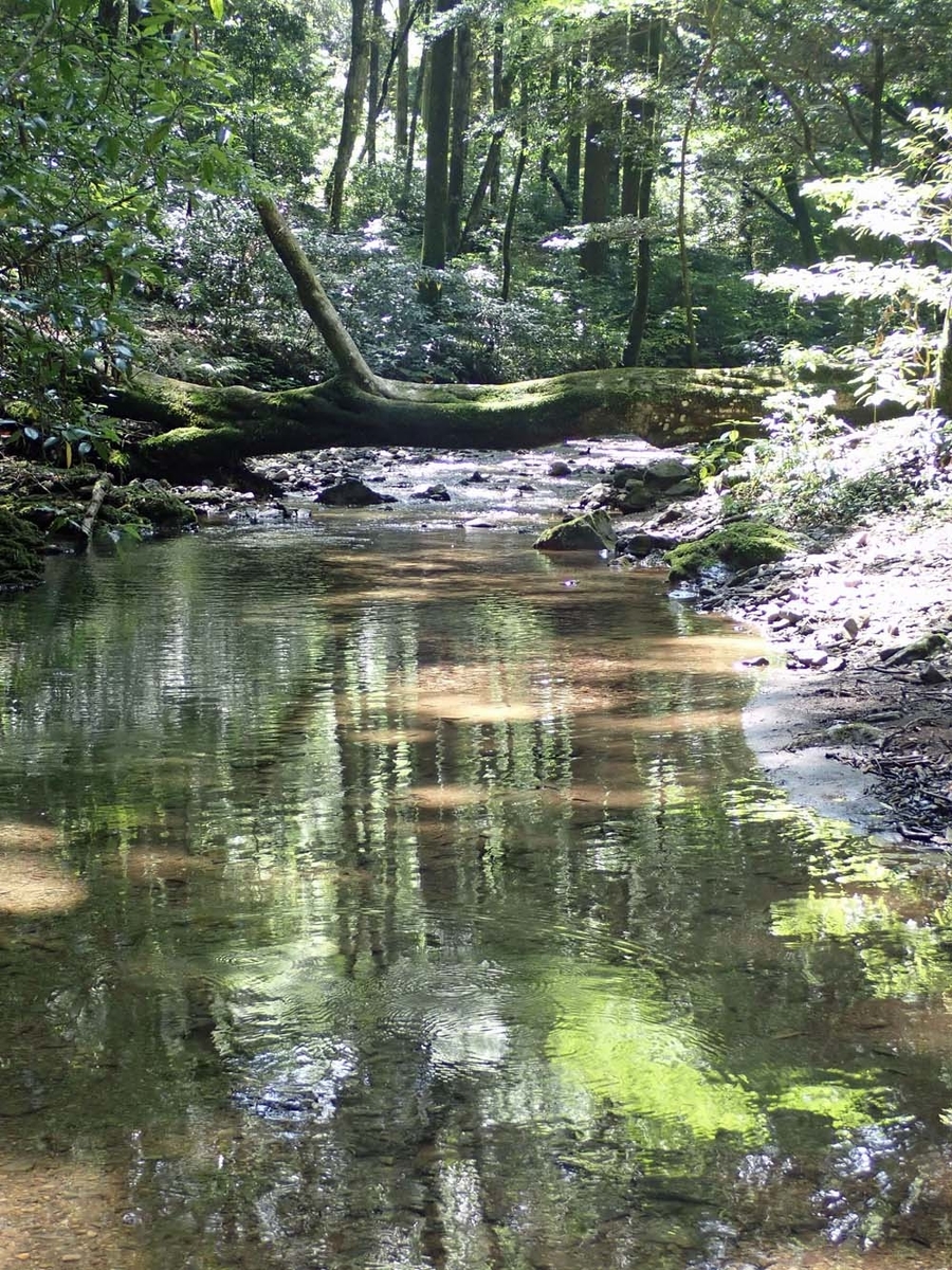 f:id:tonji44:20210622101614j:plain