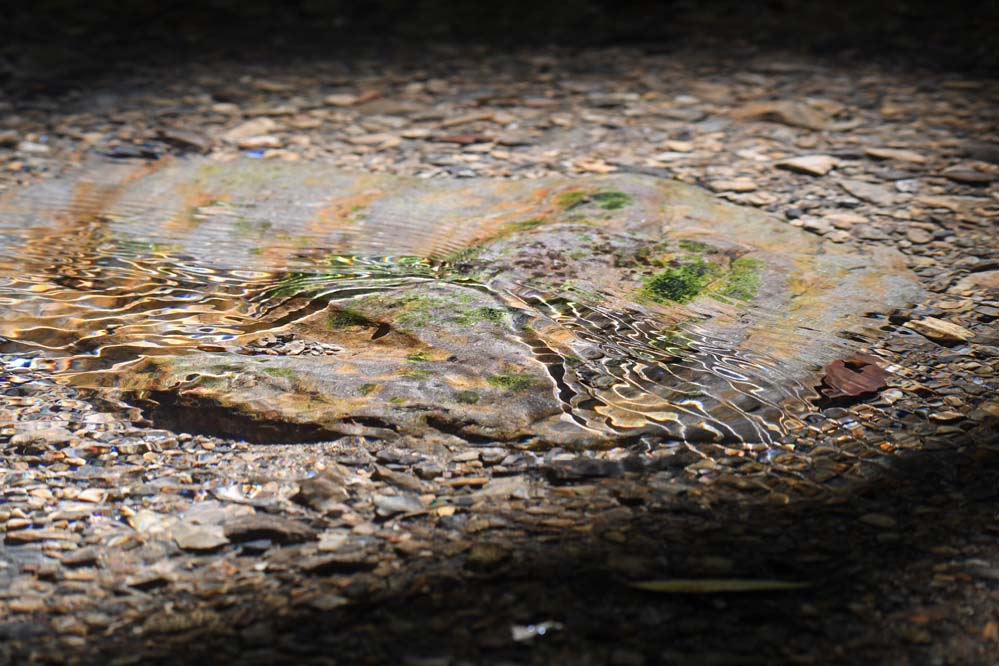 f:id:tonji44:20210622101622j:plain