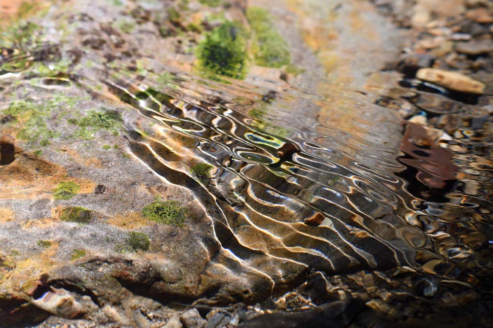 f:id:tonji44:20210622101709j:plain