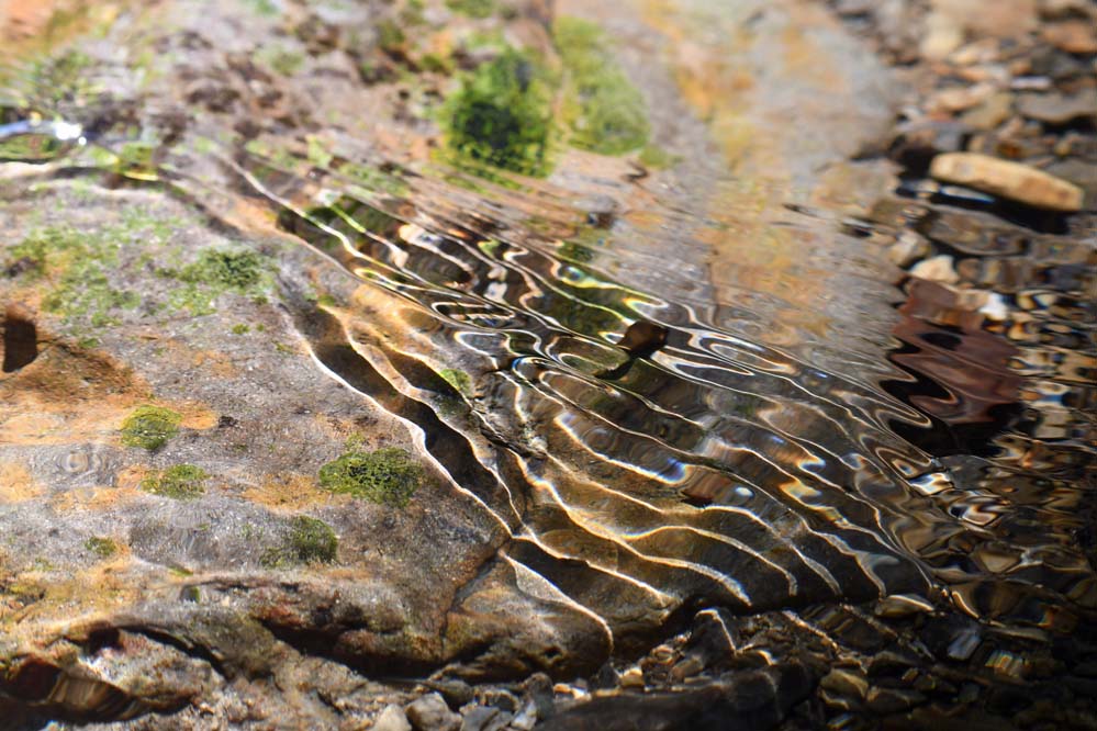 f:id:tonji44:20210622101735j:plain