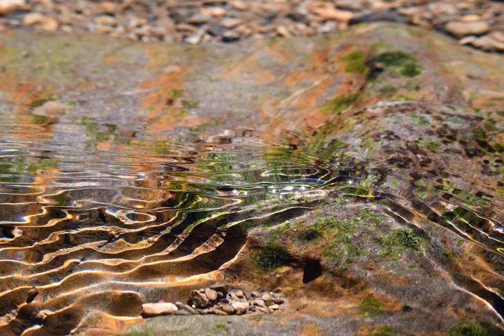 f:id:tonji44:20210622105154j:plain