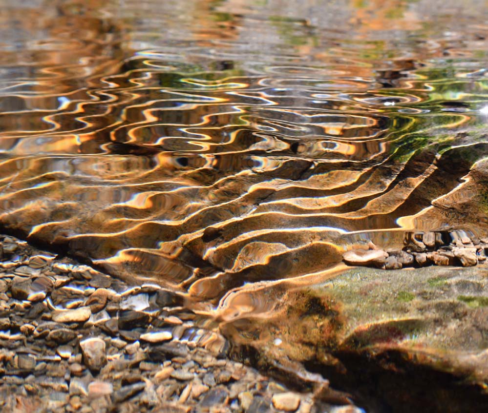 f:id:tonji44:20210622123839j:plain