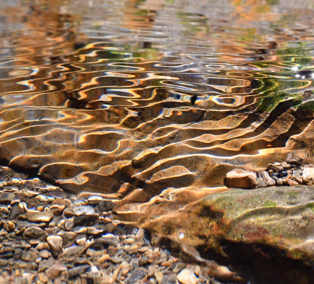 f:id:tonji44:20210622123851j:plain