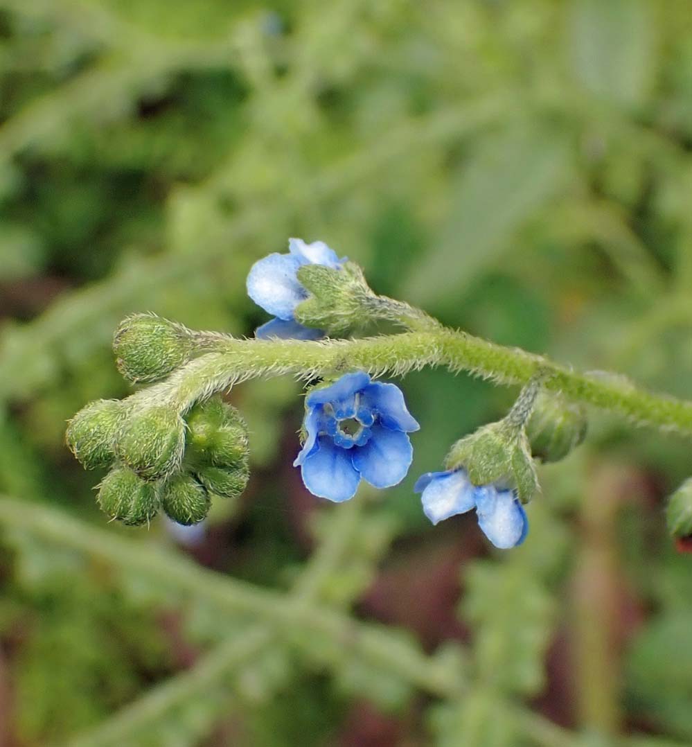 f:id:tonji44:20210701094932j:plain