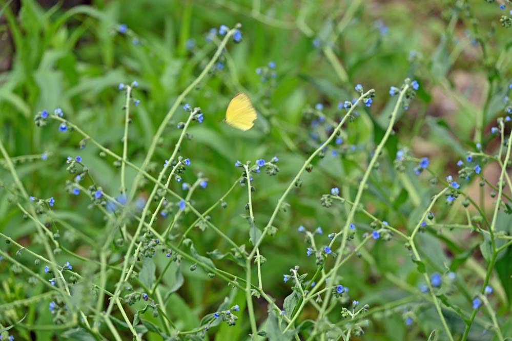 f:id:tonji44:20210701094941j:plain