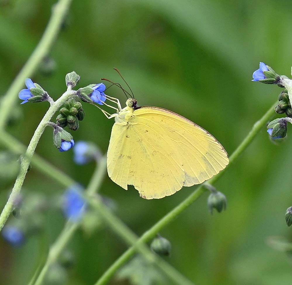 f:id:tonji44:20210701094949j:plain