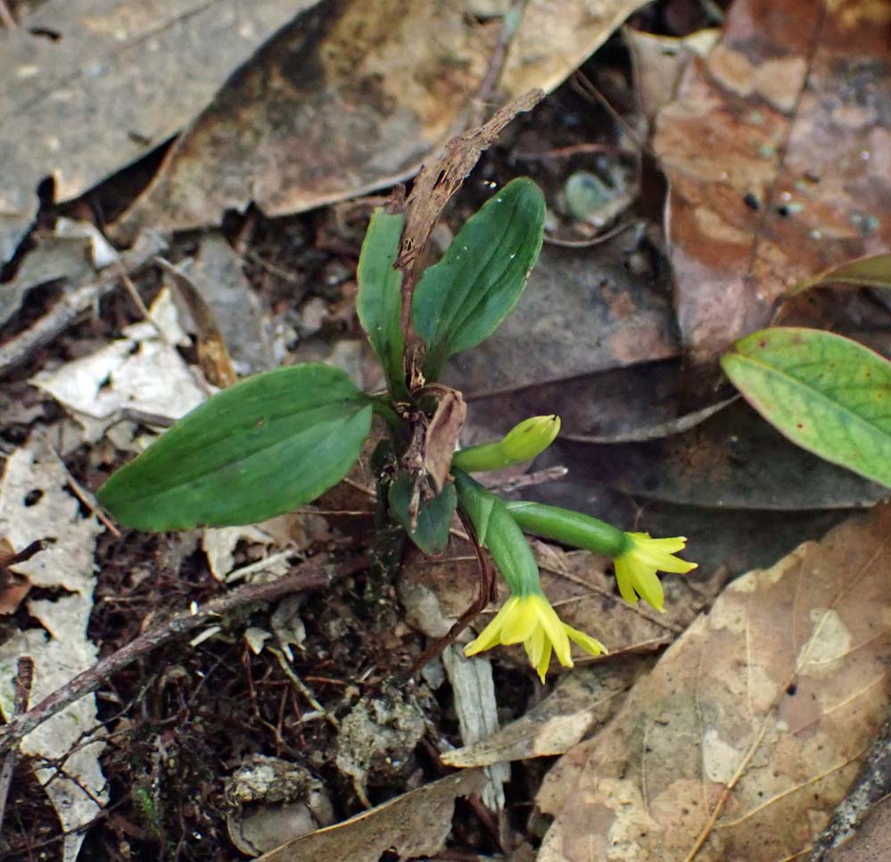 f:id:tonji44:20210711091258j:plain