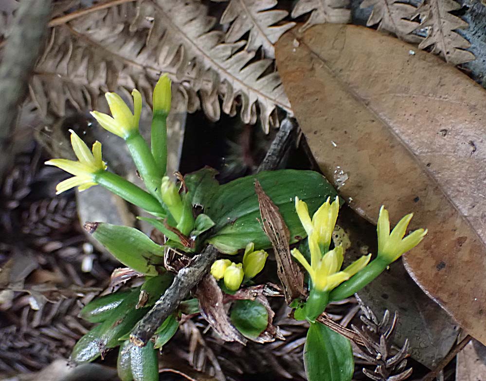 f:id:tonji44:20210711091308j:plain