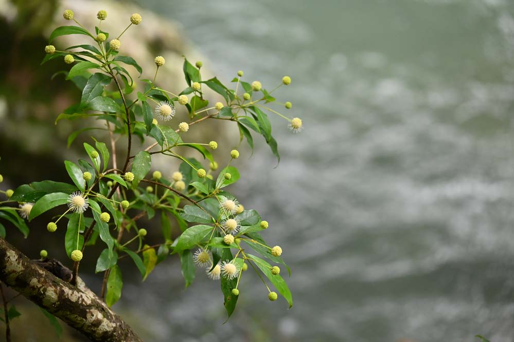 f:id:tonji44:20210820131121j:plain