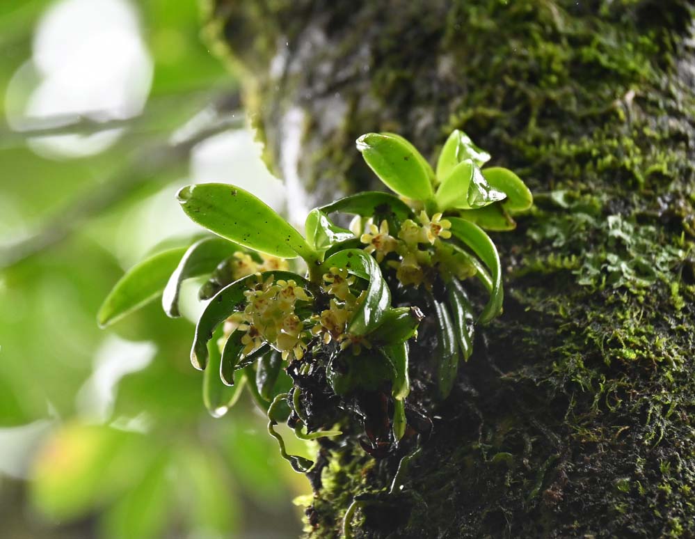 f:id:tonji44:20210821100843j:plain