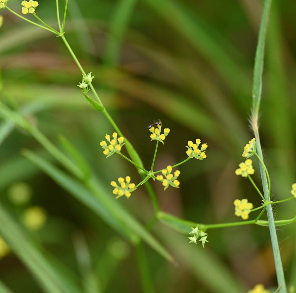 f:id:tonji44:20210908181946j:plain