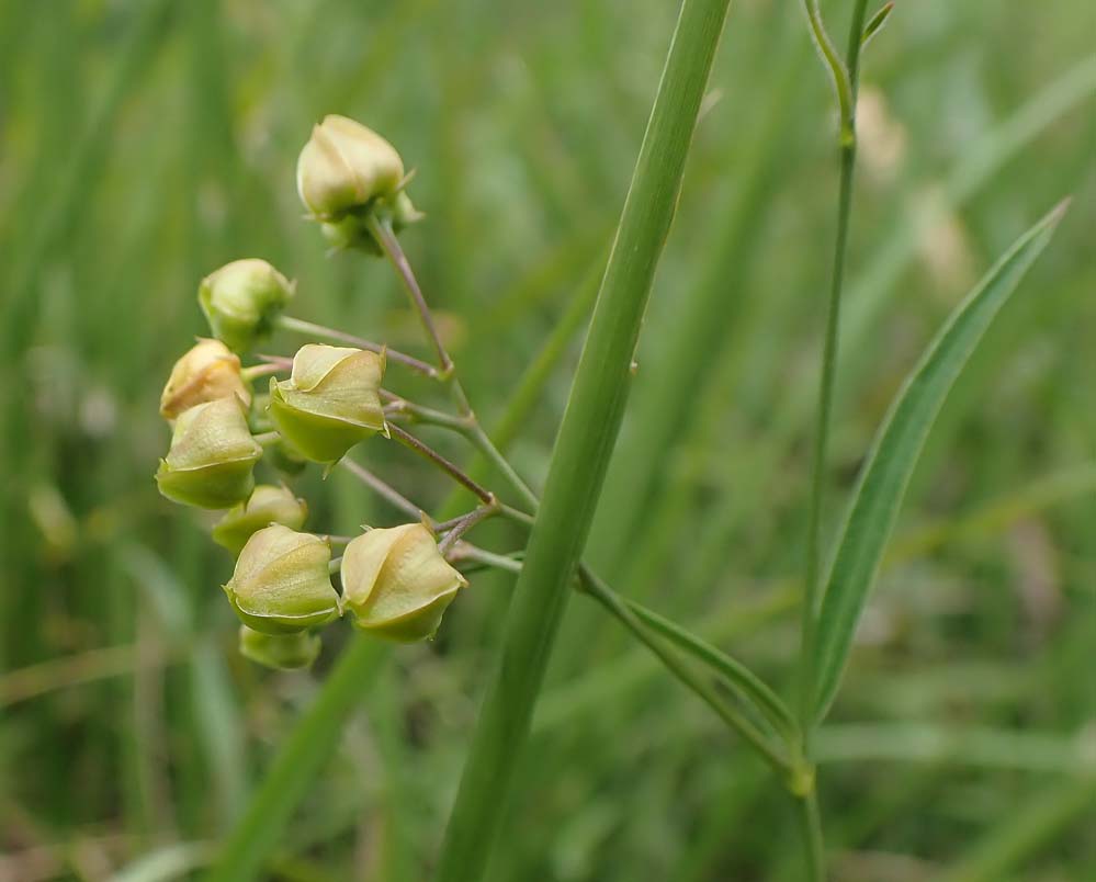 f:id:tonji44:20210908205614j:plain