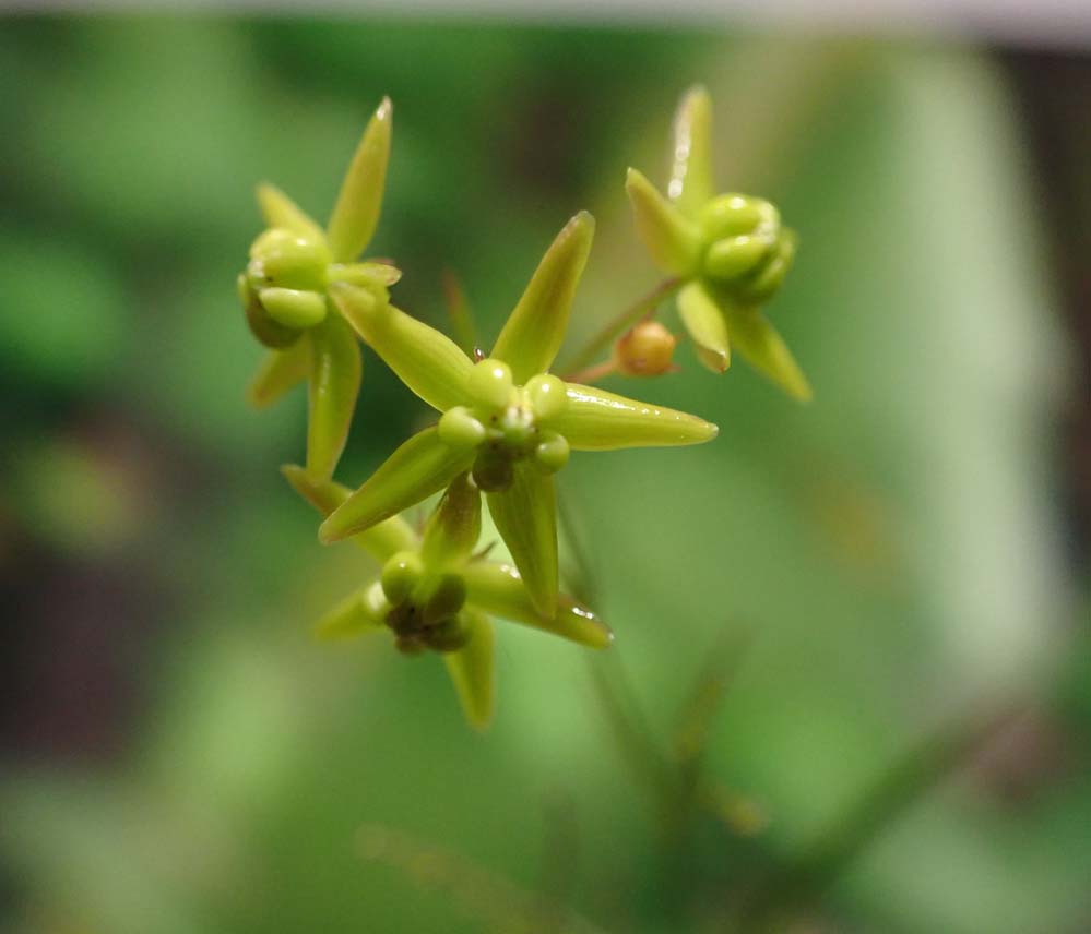 f:id:tonji44:20210908205624j:plain