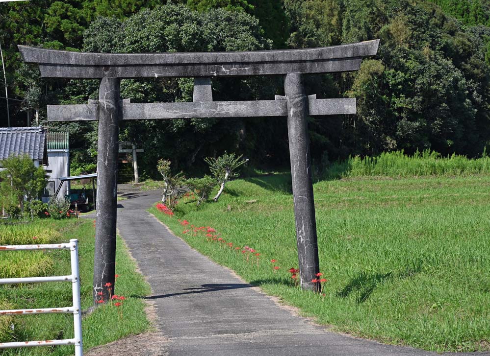 f:id:tonji44:20210922095833j:plain