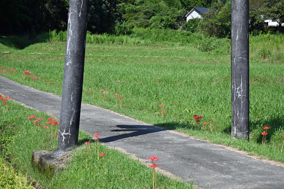 f:id:tonji44:20210922095853j:plain