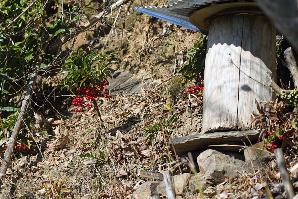 f:id:tonji44:20220108215821j:plain