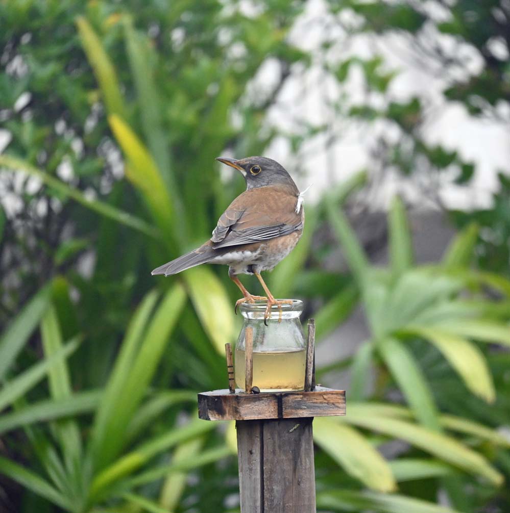 f:id:tonji44:20220127195808j:plain