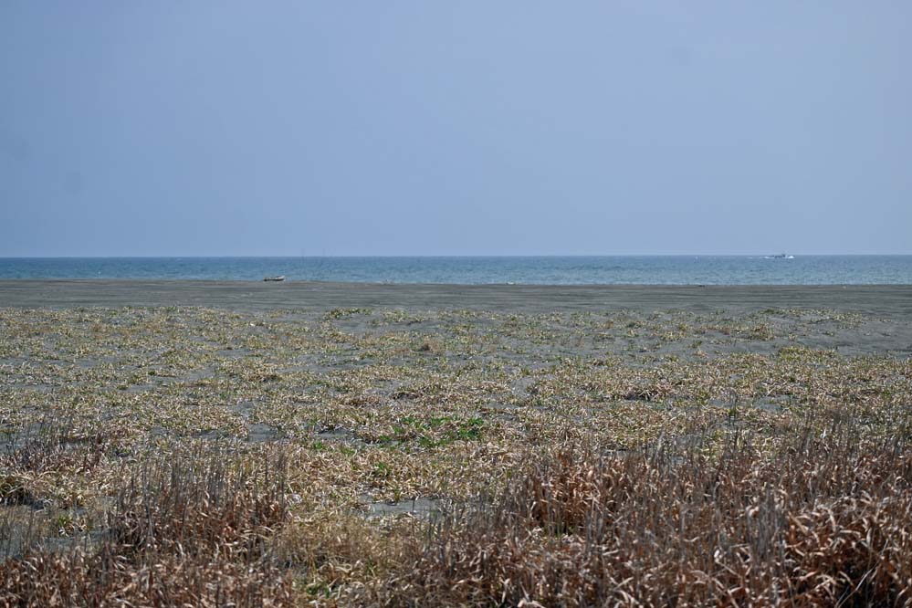 f:id:tonji44:20220317165917j:plain