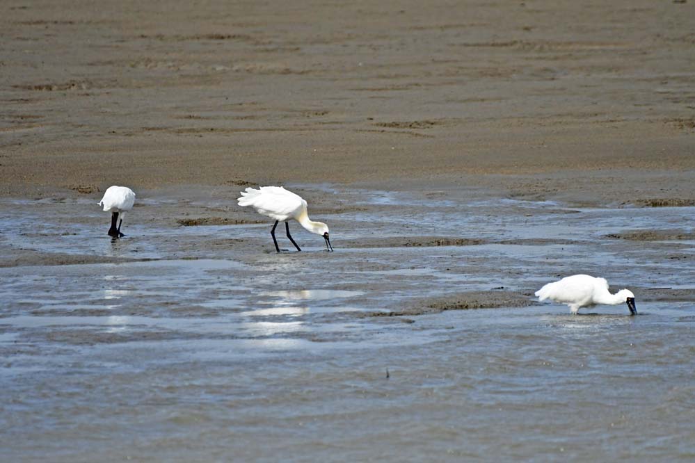 f:id:tonji44:20220323101534j:plain