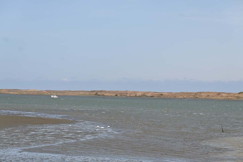 f:id:tonji44:20220323160001j:plain