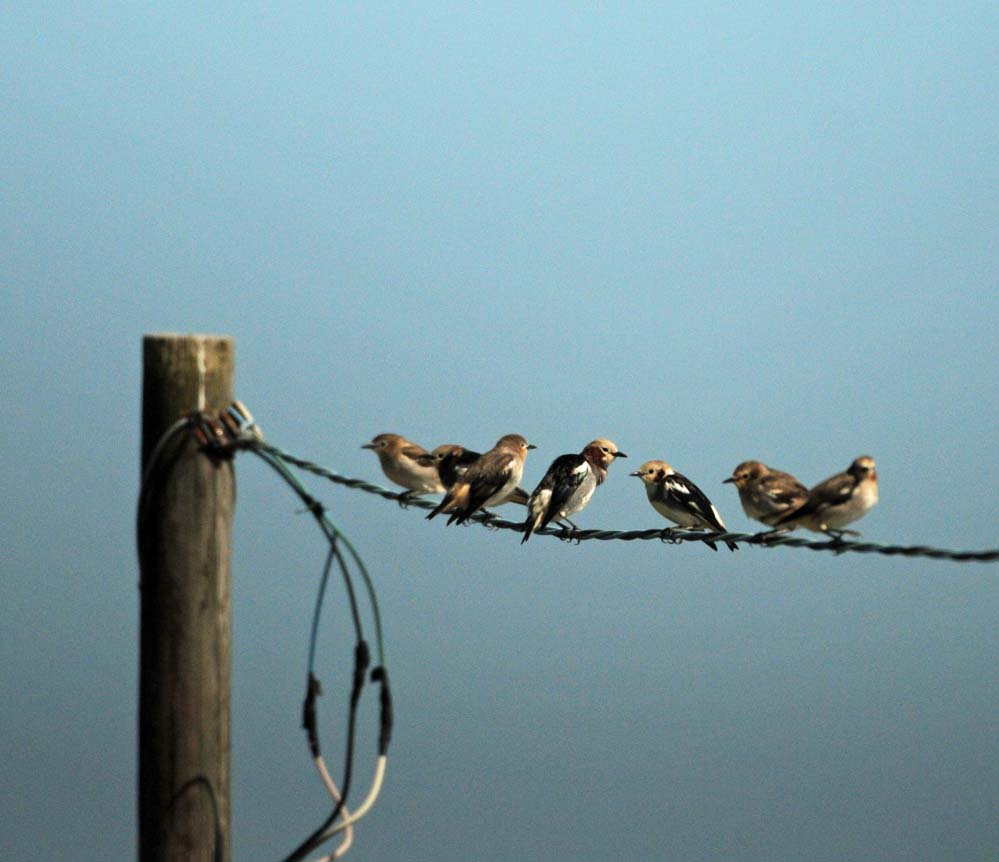 f:id:tonji44:20220409202632j:plain