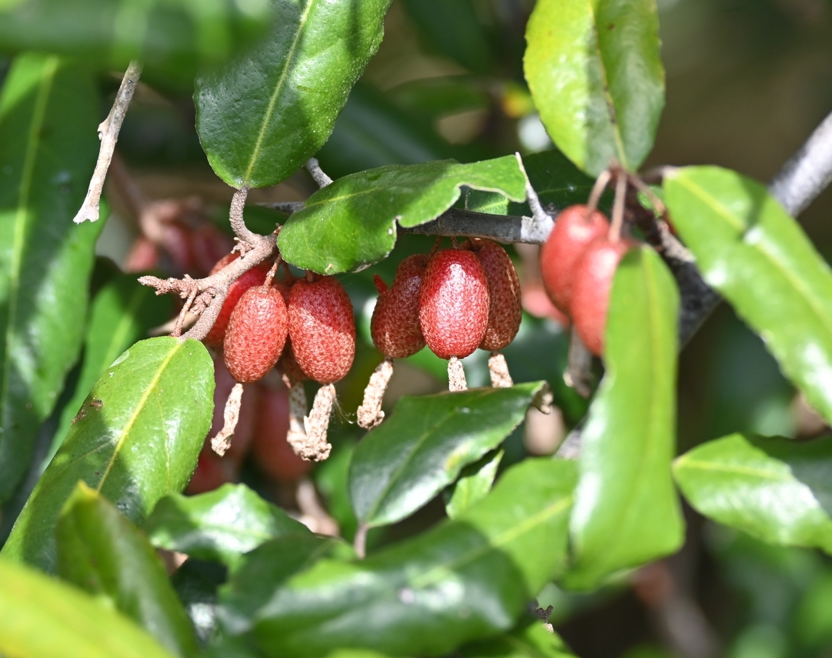 f:id:tonji44:20220409204546j:plain