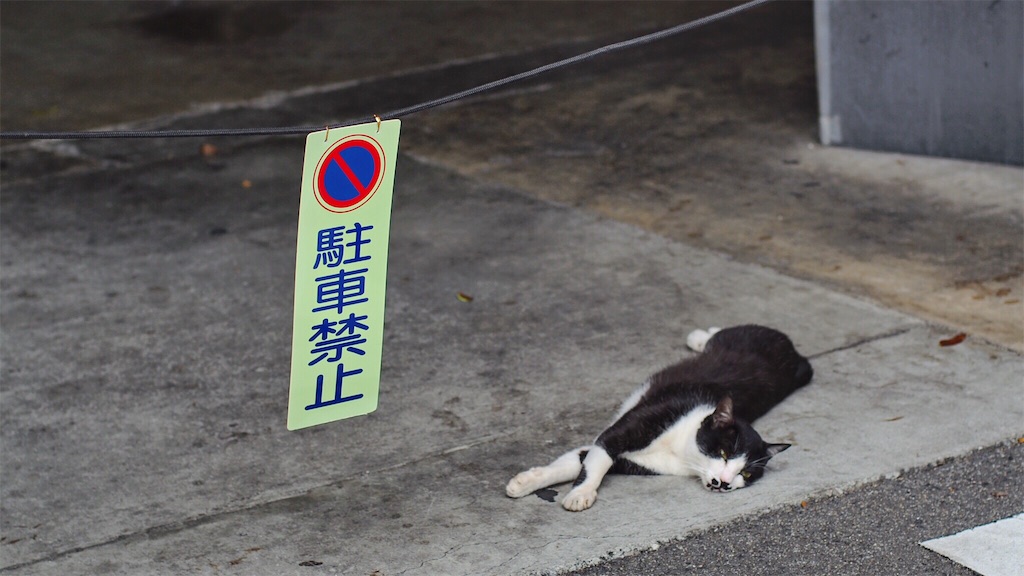 f:id:tonkotutarou:20160516225835j:image f:id:tonkotutarou:20160516225835j:image