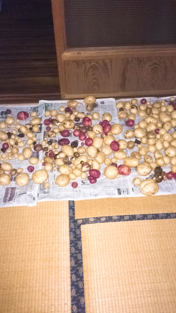 f:id:tonnkotu:20190218220837j:plain f:id:tonnkotu:20190218220837j:plain