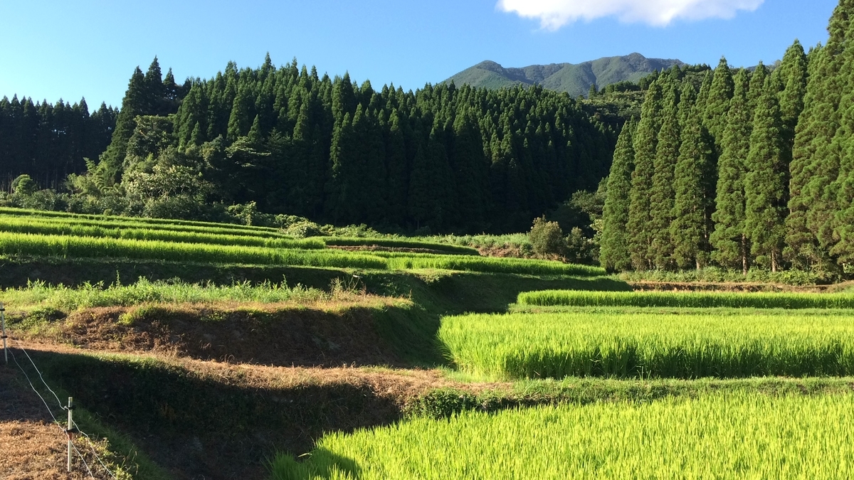 f:id:tonnkotu:20190328230003j:plain