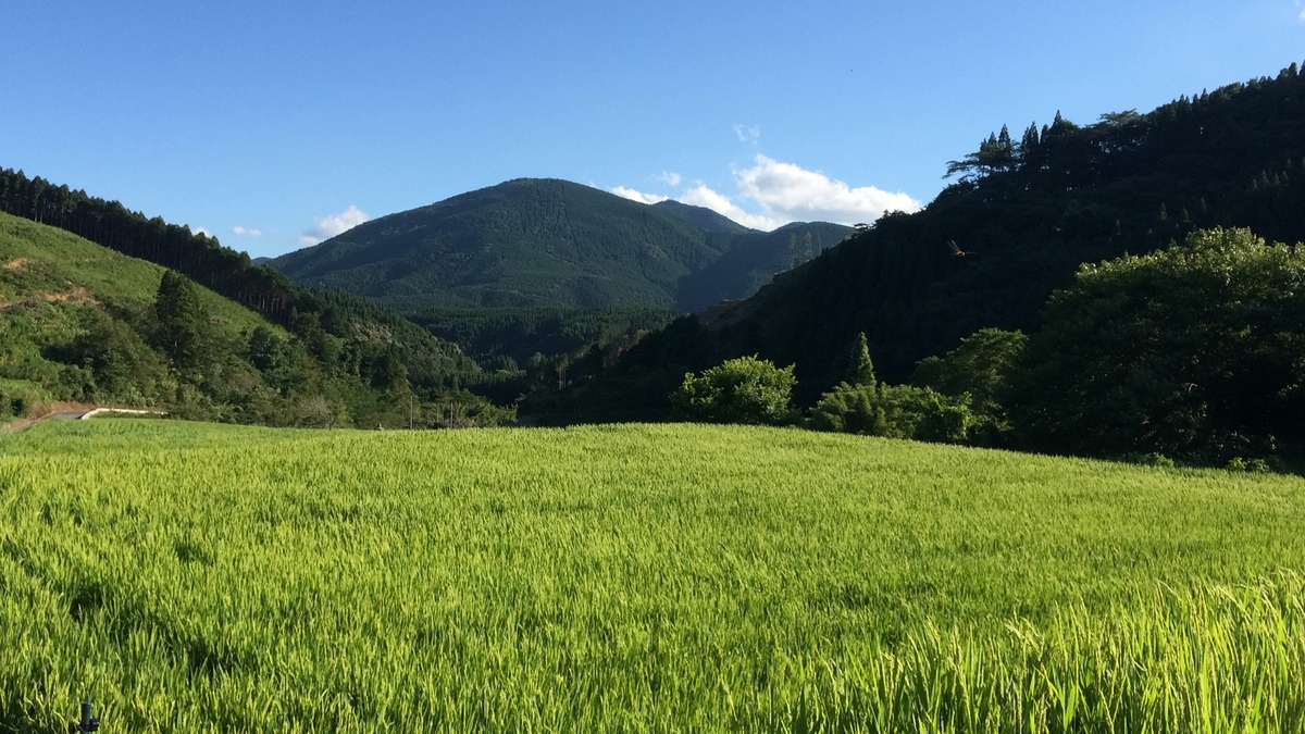 f:id:tonnkotu:20190328230018j:plain