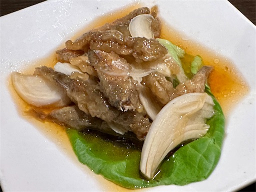 f:id:tono_chin:20230608140657j:image