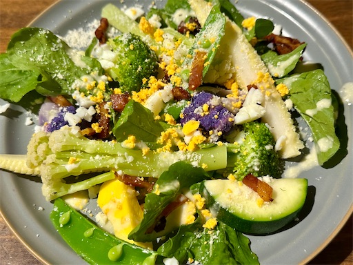 f:id:tono_chin:20240607172604j:image f:id:tono_chin:20240607172604j:image