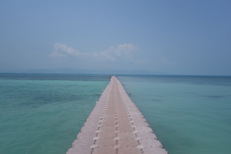 世界3大パーティ島の「パンガン島(タイ)」。フルムーンパーティなき穴場の時期が楽園。 やじり鳥