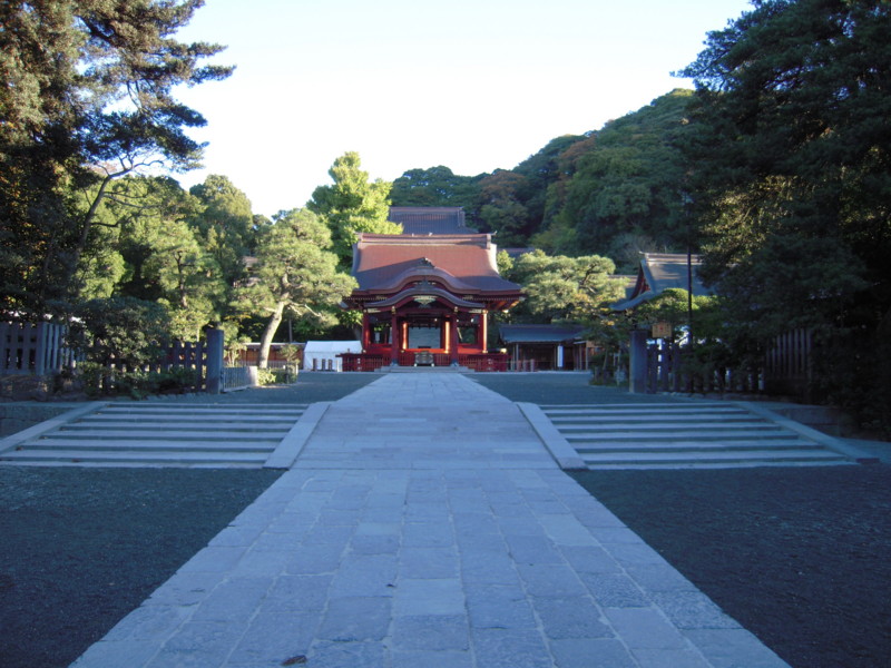 20081119072458