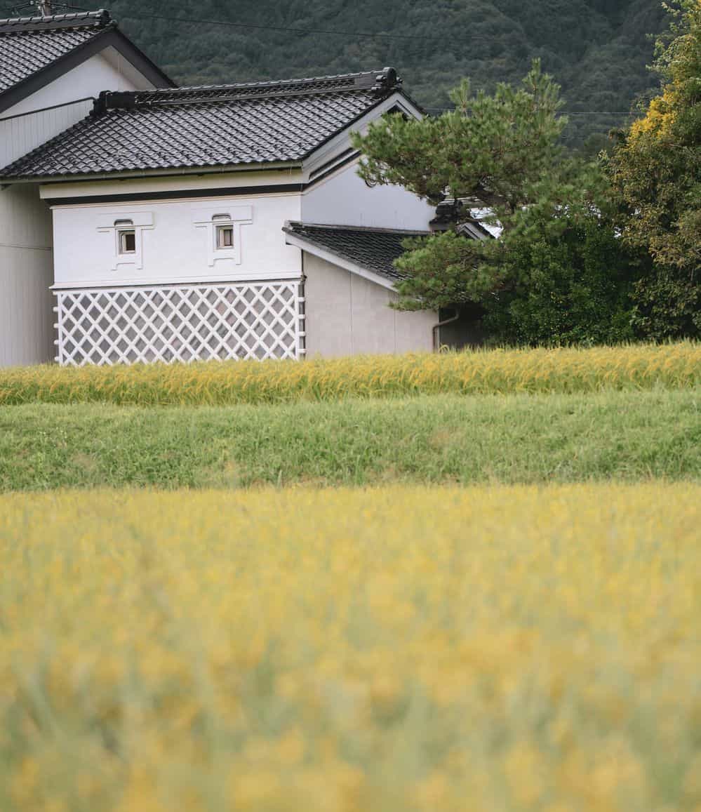 多治見市 お米券を改悪してどーすんの？