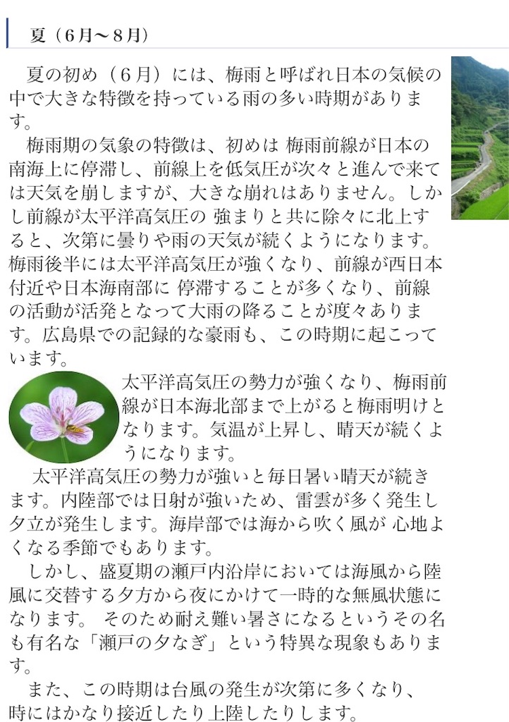 つちや 仮