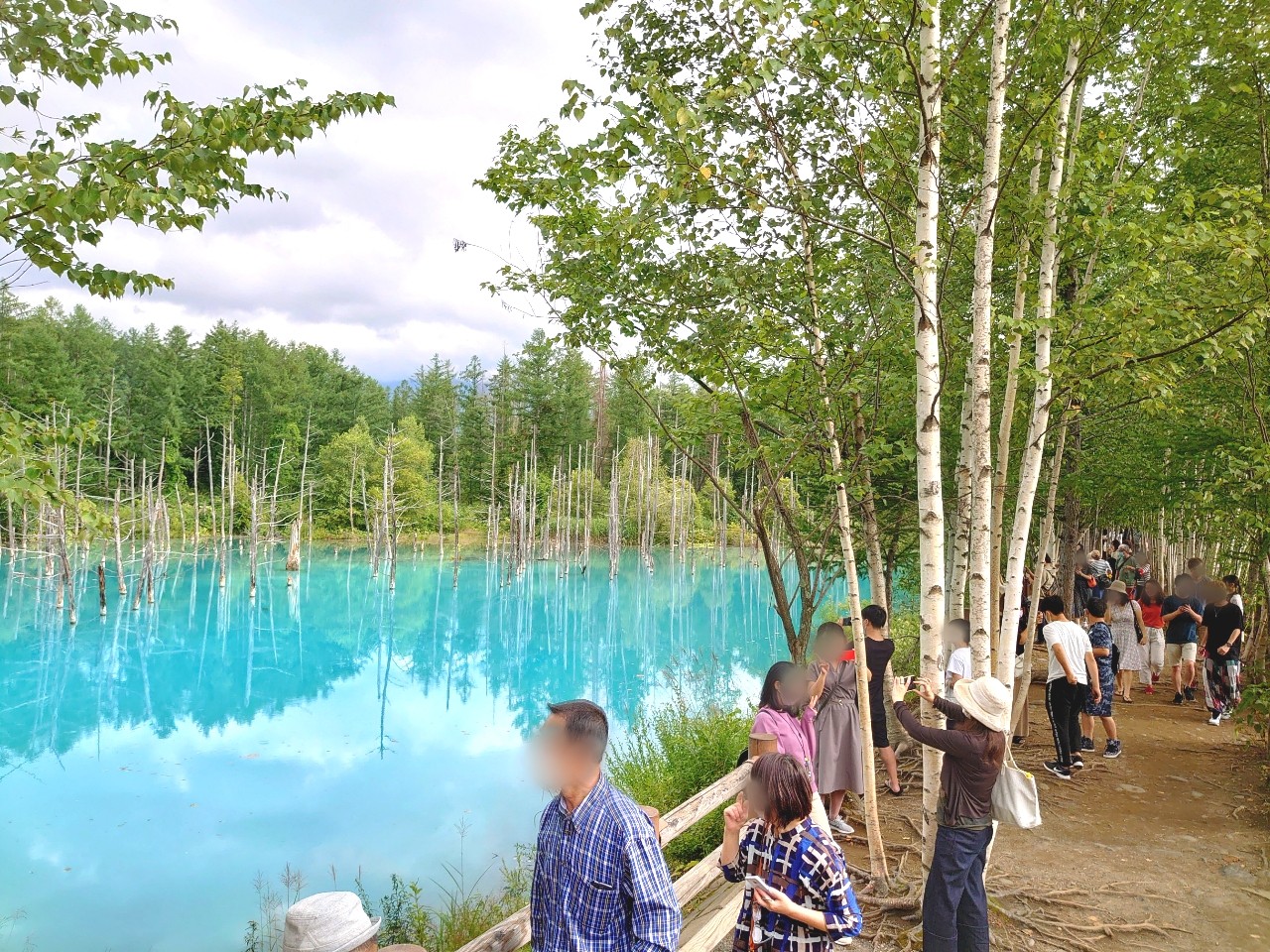 青い池 なぜ青い 天気が悪い日でも青く見える ここでしか飲めない青いビールを飲んでみた 北海道 美瑛観光 とんたろぐ