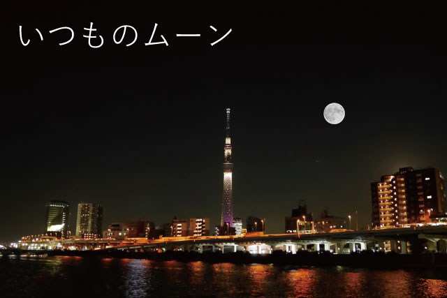 f:id:tontomo:20161115152848j:plain