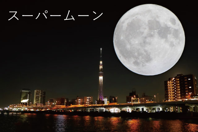 f:id:tontomo:20161115152859j:plain